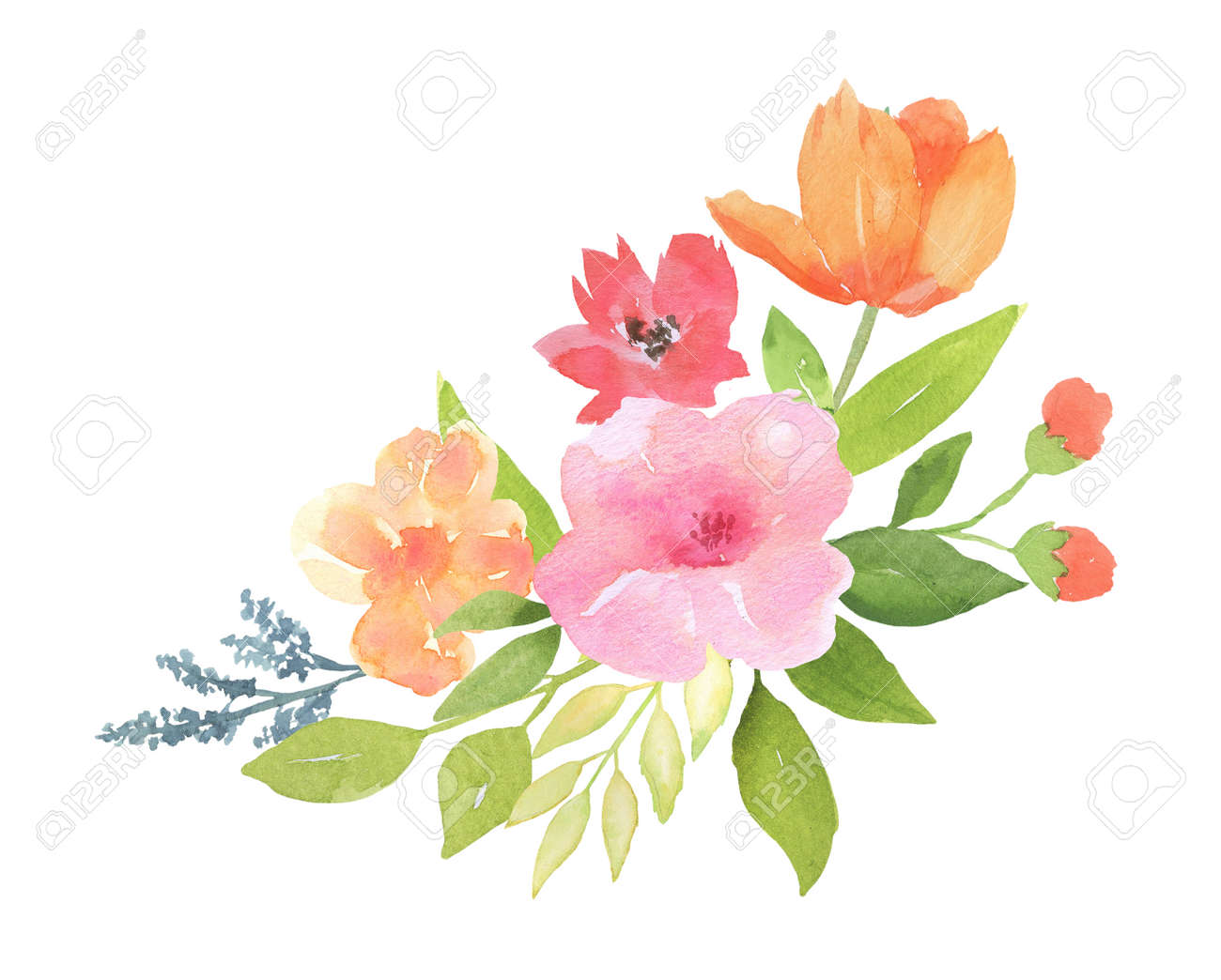 水彩画 花